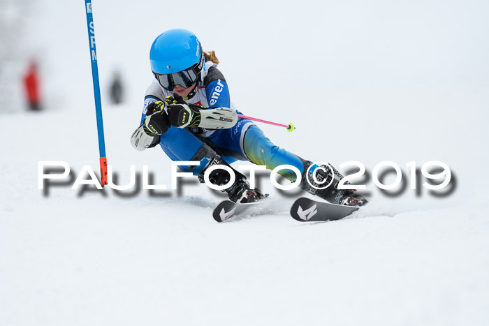 Werdenfelser Kinderskitag. mit Ziener und BZB Cup 2019