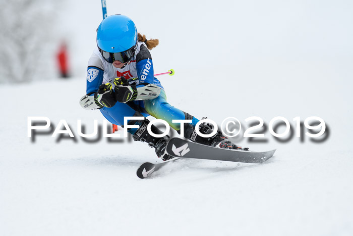 Werdenfelser Kinderskitag. mit Ziener und BZB Cup 2019