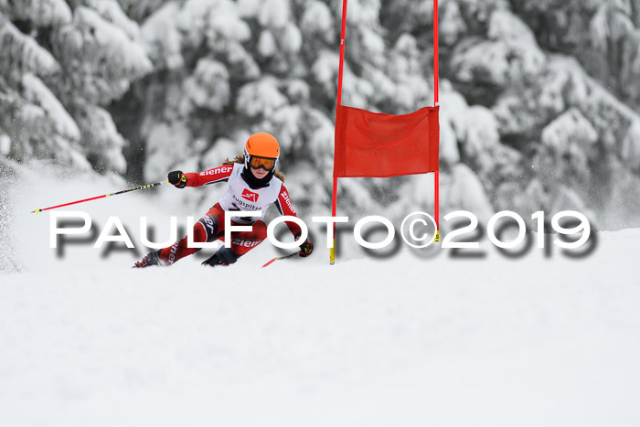 Werdenfelser Kinderskitag. mit Ziener und BZB Cup 2019