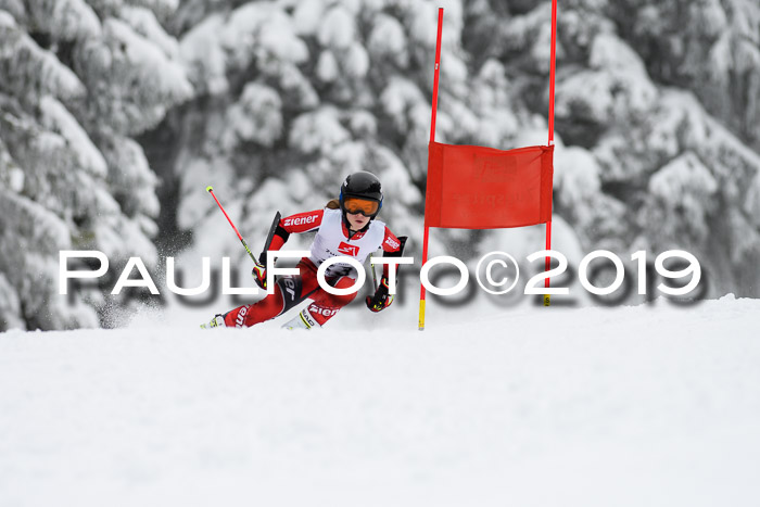 Werdenfelser Kinderskitag. mit Ziener und BZB Cup 2019