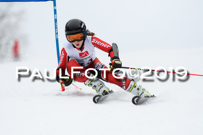 Werdenfelser Kinderskitag. mit Ziener und BZB Cup 2019