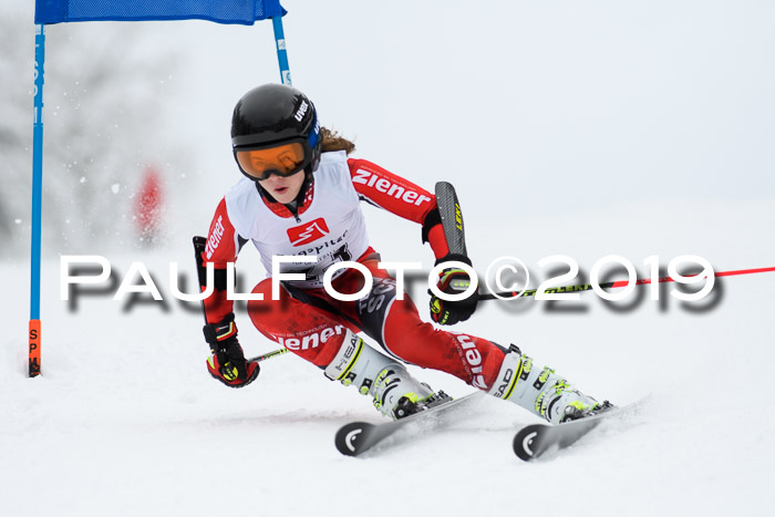 Werdenfelser Kinderskitag. mit Ziener und BZB Cup 2019