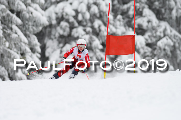 Werdenfelser Kinderskitag. mit Ziener und BZB Cup 2019