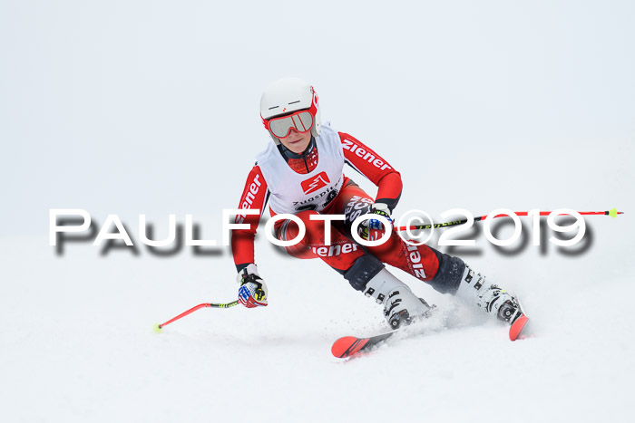 Werdenfelser Kinderskitag. mit Ziener und BZB Cup 2019