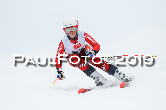 Werdenfelser Kinderskitag. mit Ziener und BZB Cup 2019