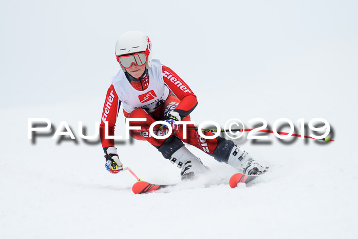 Werdenfelser Kinderskitag. mit Ziener und BZB Cup 2019