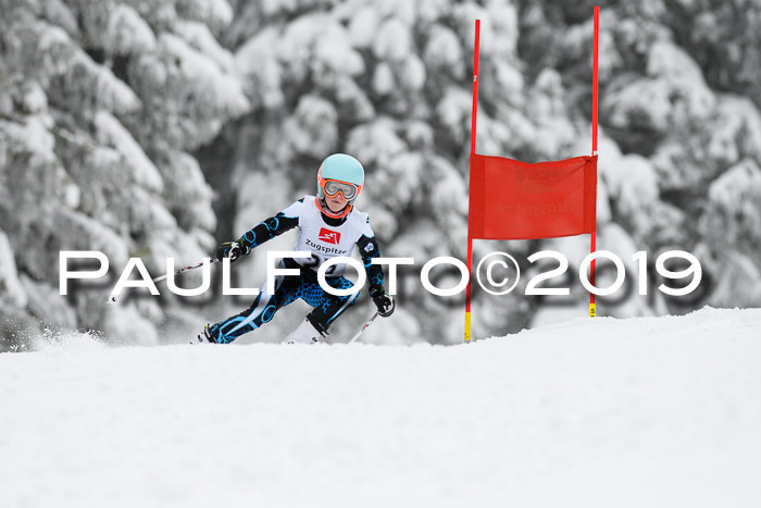 Werdenfelser Kinderskitag. mit Ziener und BZB Cup 2019