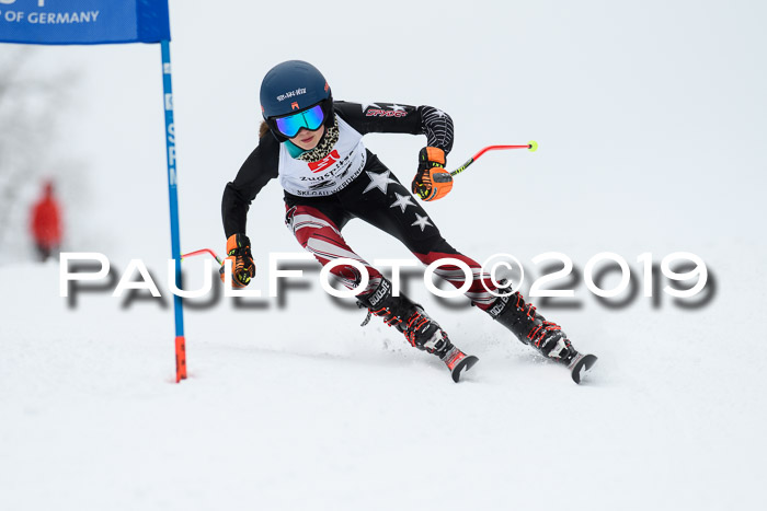 Werdenfelser Kinderskitag. mit Ziener und BZB Cup 2019