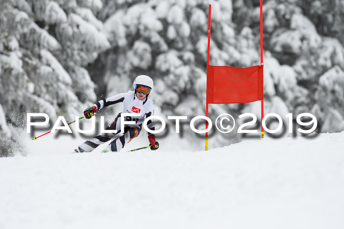 Werdenfelser Kinderskitag. mit Ziener und BZB Cup 2019
