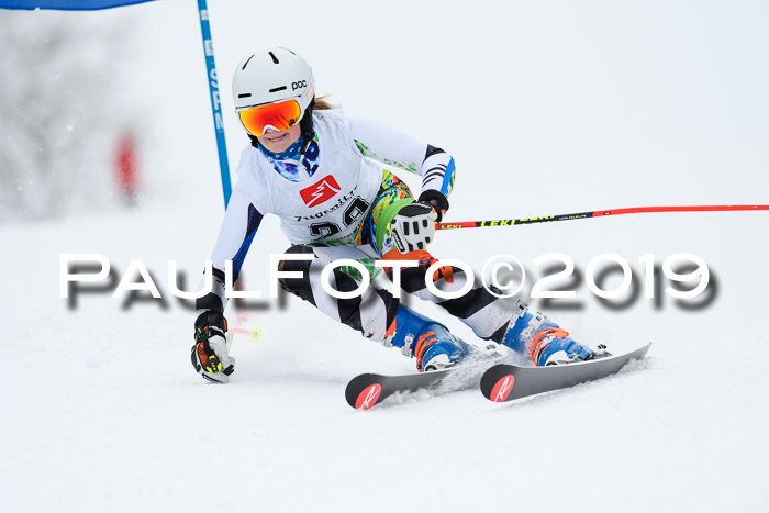 Werdenfelser Kinderskitag. mit Ziener und BZB Cup 2019