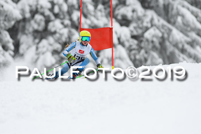 Werdenfelser Kinderskitag. mit Ziener und BZB Cup 2019