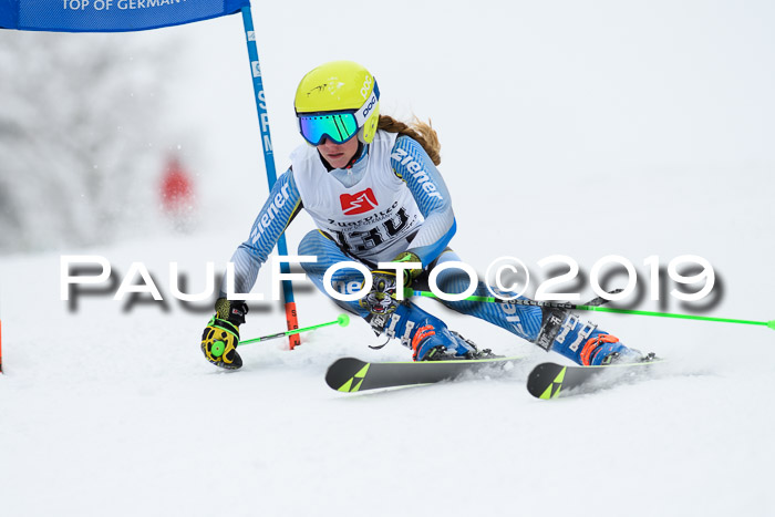 Werdenfelser Kinderskitag. mit Ziener und BZB Cup 2019