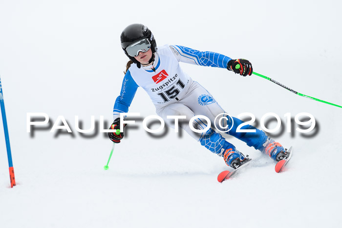Werdenfelser Kinderskitag. mit Ziener und BZB Cup 2019