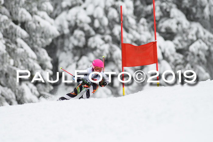 Werdenfelser Kinderskitag. mit Ziener und BZB Cup 2019