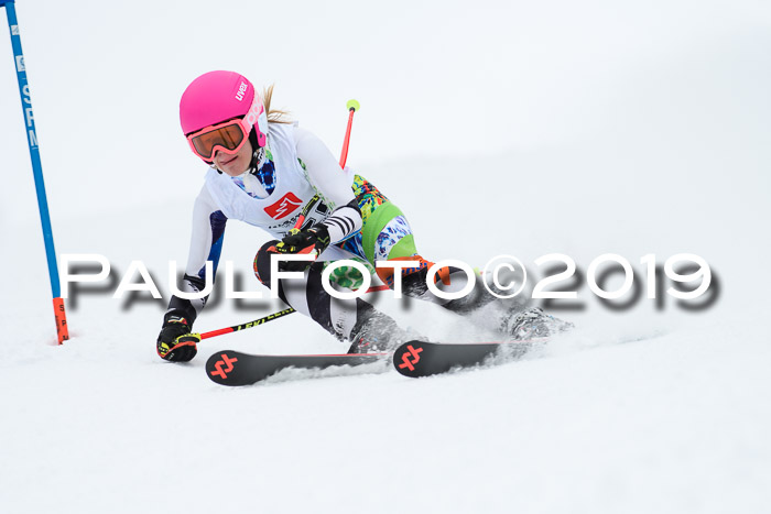 Werdenfelser Kinderskitag. mit Ziener und BZB Cup 2019