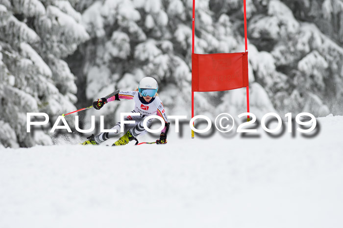 Werdenfelser Kinderskitag. mit Ziener und BZB Cup 2019