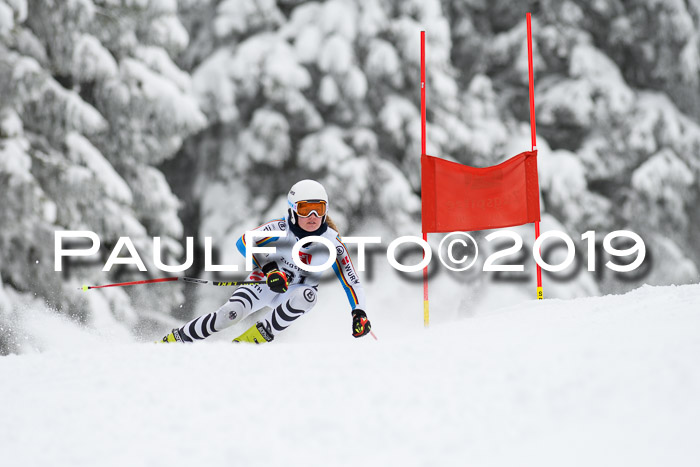 Werdenfelser Kinderskitag. mit Ziener und BZB Cup 2019