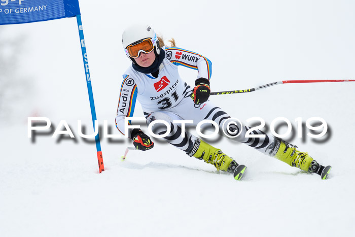 Werdenfelser Kinderskitag. mit Ziener und BZB Cup 2019