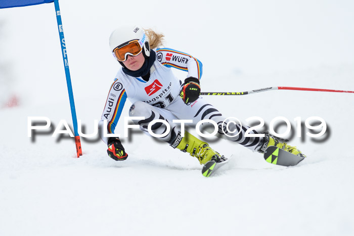 Werdenfelser Kinderskitag. mit Ziener und BZB Cup 2019