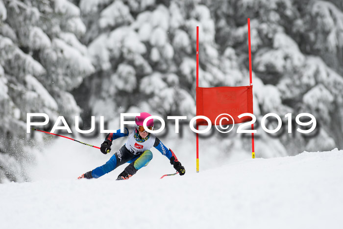 Werdenfelser Kinderskitag. mit Ziener und BZB Cup 2019
