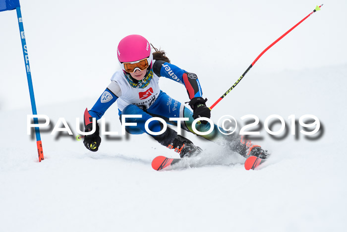 Werdenfelser Kinderskitag. mit Ziener und BZB Cup 2019