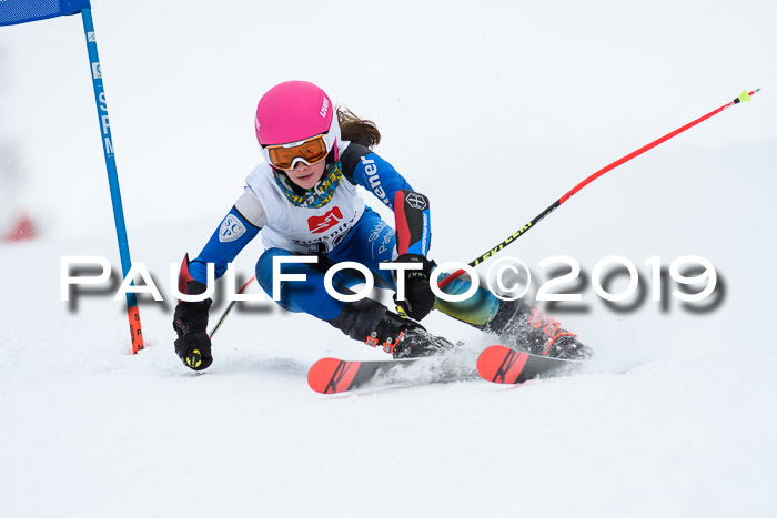 Werdenfelser Kinderskitag. mit Ziener und BZB Cup 2019