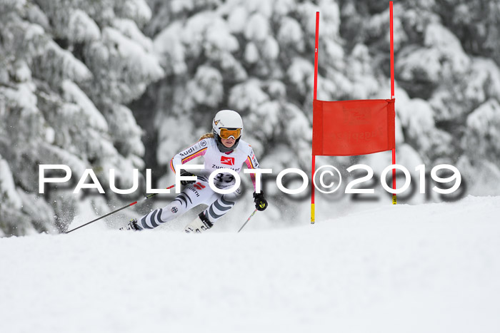 Werdenfelser Kinderskitag. mit Ziener und BZB Cup 2019