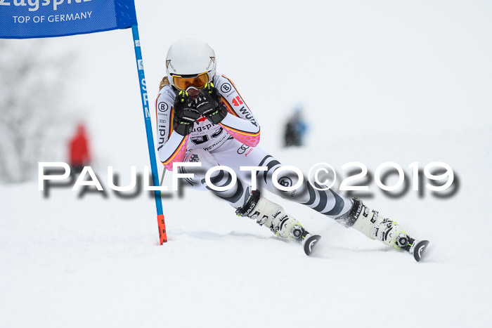 Werdenfelser Kinderskitag. mit Ziener und BZB Cup 2019