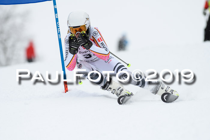 Werdenfelser Kinderskitag. mit Ziener und BZB Cup 2019