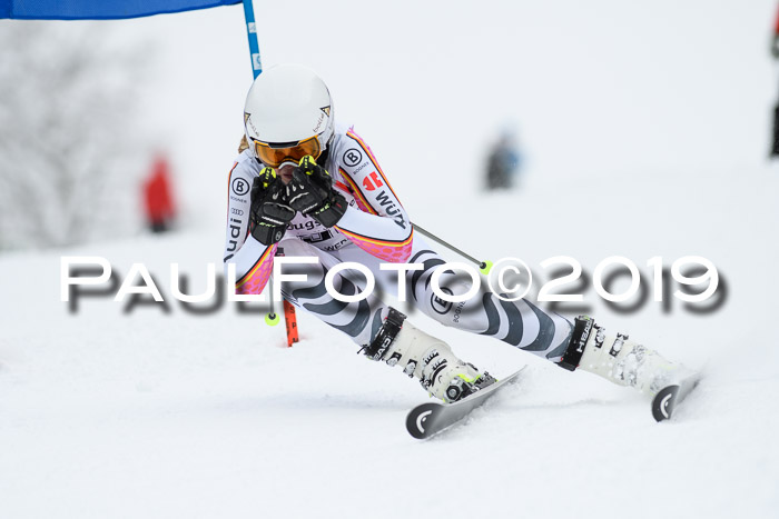 Werdenfelser Kinderskitag. mit Ziener und BZB Cup 2019