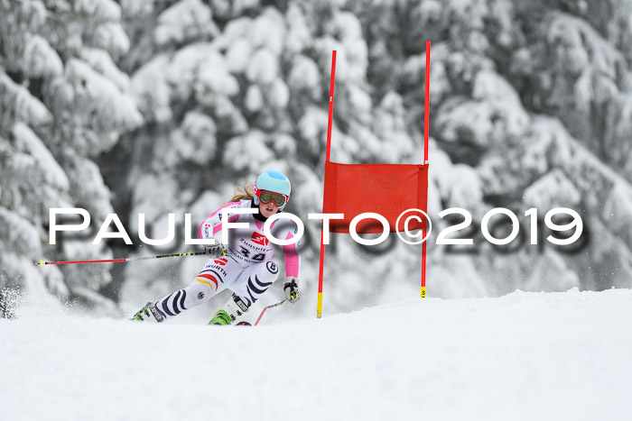 Werdenfelser Kinderskitag. mit Ziener und BZB Cup 2019