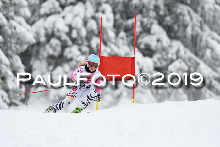 Werdenfelser Kinderskitag. mit Ziener und BZB Cup 2019