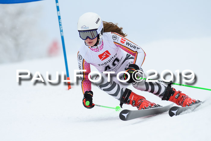 Werdenfelser Kinderskitag. mit Ziener und BZB Cup 2019