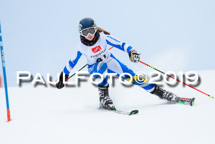 Werdenfelser Kinderskitag. mit Ziener und BZB Cup 2019
