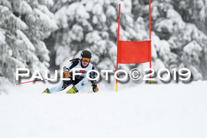 Werdenfelser Kinderskitag. mit Ziener und BZB Cup 2019