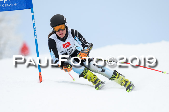 Werdenfelser Kinderskitag. mit Ziener und BZB Cup 2019