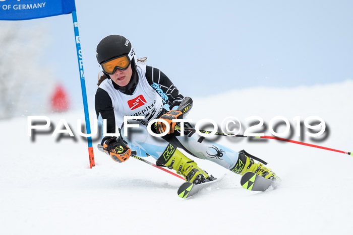Werdenfelser Kinderskitag. mit Ziener und BZB Cup 2019