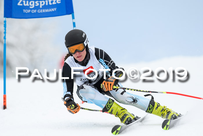 Werdenfelser Kinderskitag. mit Ziener und BZB Cup 2019
