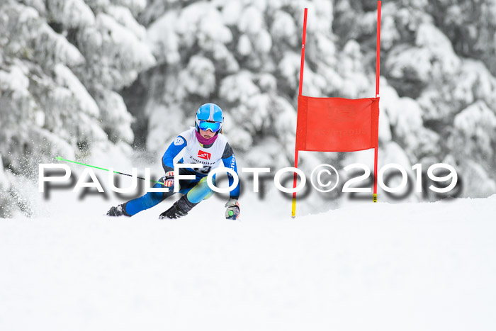 Werdenfelser Kinderskitag. mit Ziener und BZB Cup 2019