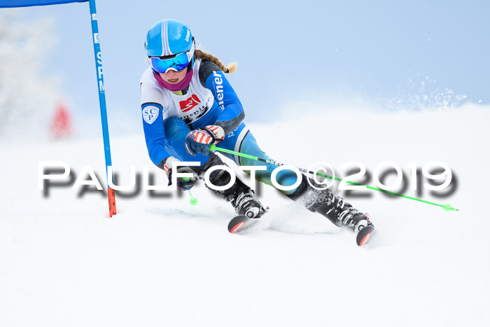 Werdenfelser Kinderskitag. mit Ziener und BZB Cup 2019