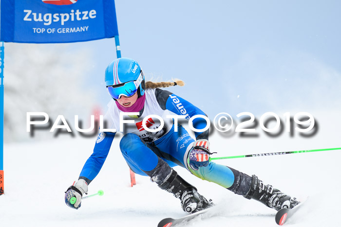 Werdenfelser Kinderskitag. mit Ziener und BZB Cup 2019