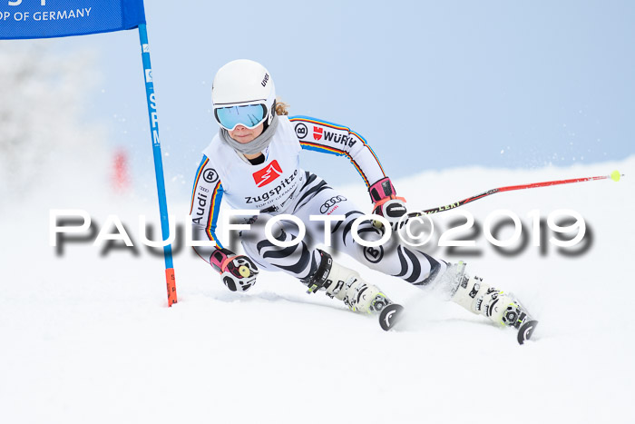 Werdenfelser Kinderskitag. mit Ziener und BZB Cup 2019