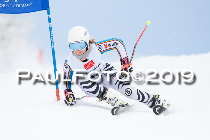 Werdenfelser Kinderskitag. mit Ziener und BZB Cup 2019