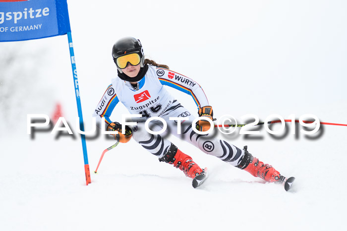Werdenfelser Kinderskitag. mit Ziener und BZB Cup 2019