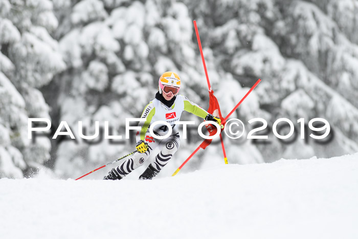 Werdenfelser Kinderskitag. mit Ziener und BZB Cup 2019