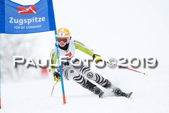 Werdenfelser Kinderskitag. mit Ziener und BZB Cup 2019