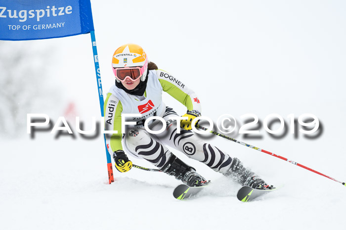 Werdenfelser Kinderskitag. mit Ziener und BZB Cup 2019
