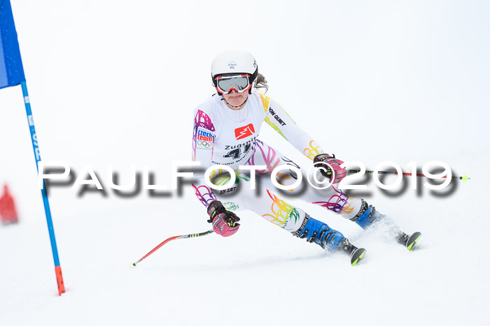 Werdenfelser Kinderskitag. mit Ziener und BZB Cup 2019