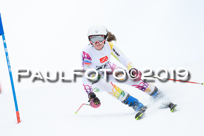 Werdenfelser Kinderskitag. mit Ziener und BZB Cup 2019