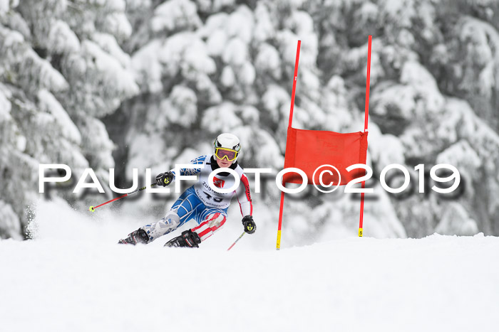 Werdenfelser Kinderskitag. mit Ziener und BZB Cup 2019